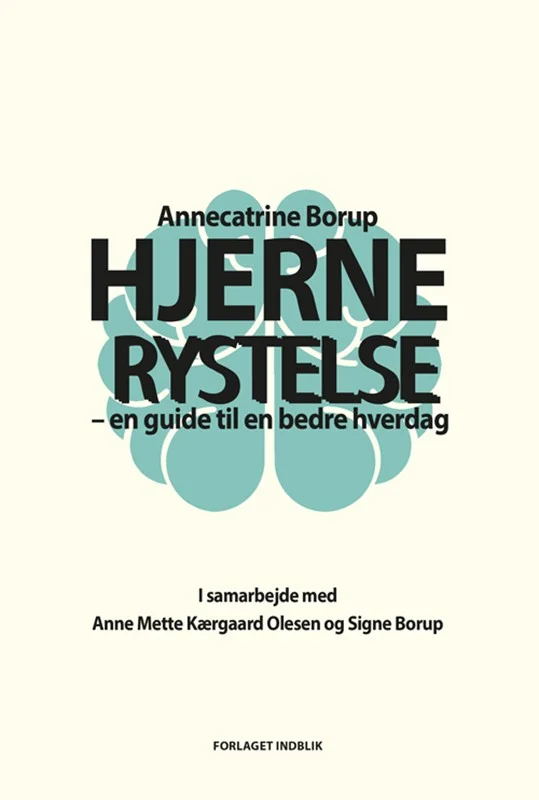 Hjernerystelse – en guide til en bedre hverdag af Annecatrine Borup